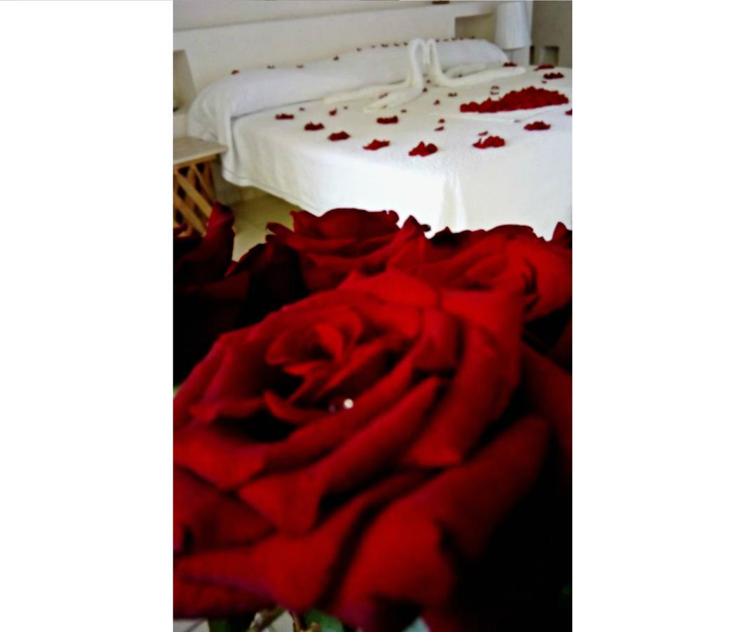 Hotel Il Piccolo Peccato (Adults Only) Cuernavaca Exteriér fotografie